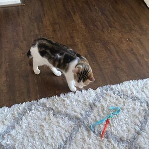 Meet your Posher, Leah